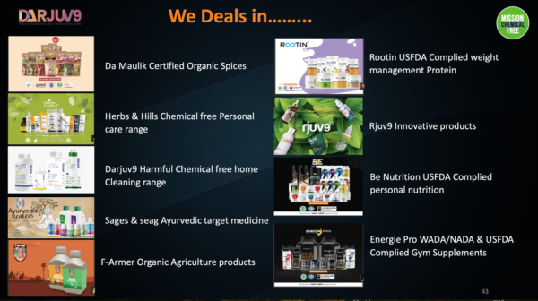 Bussiness Presentation File - Image 4